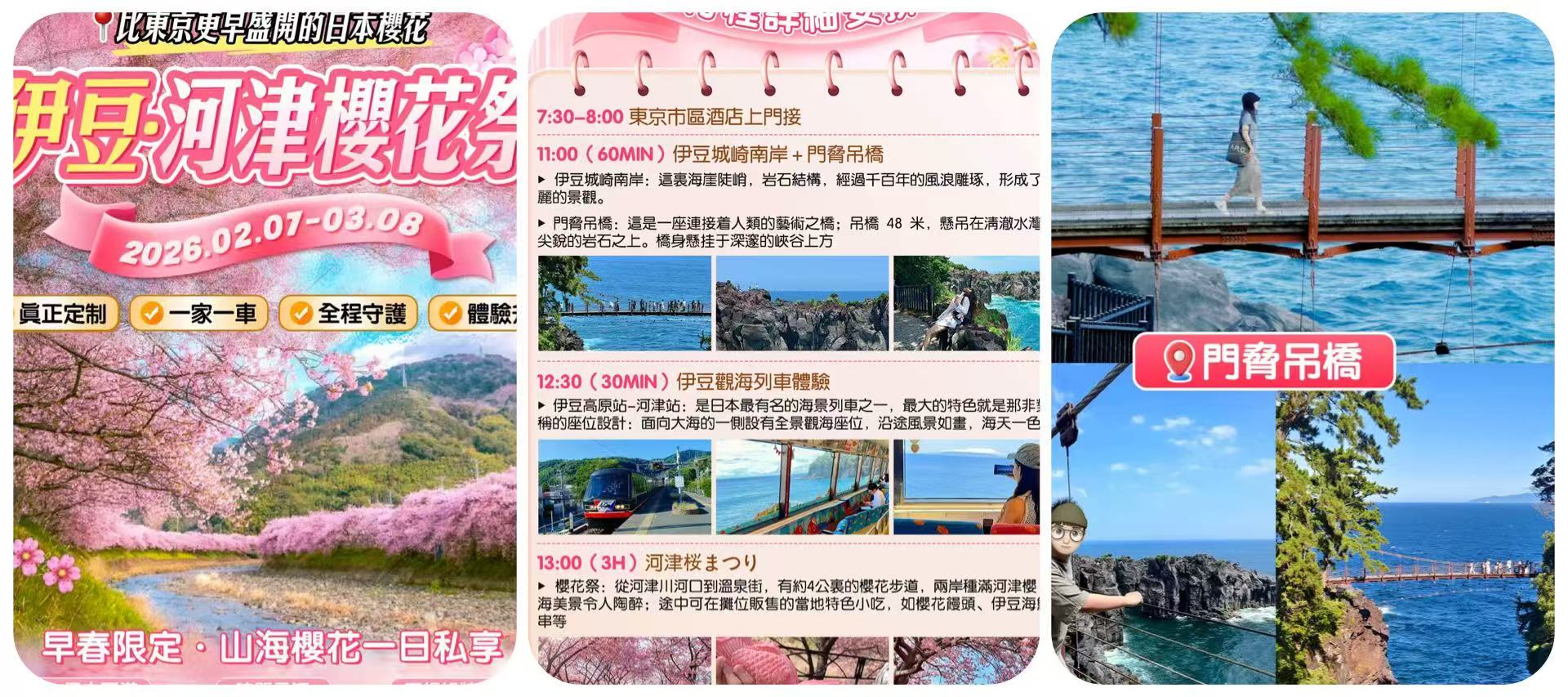 伊豆河津櫻包車一日遊